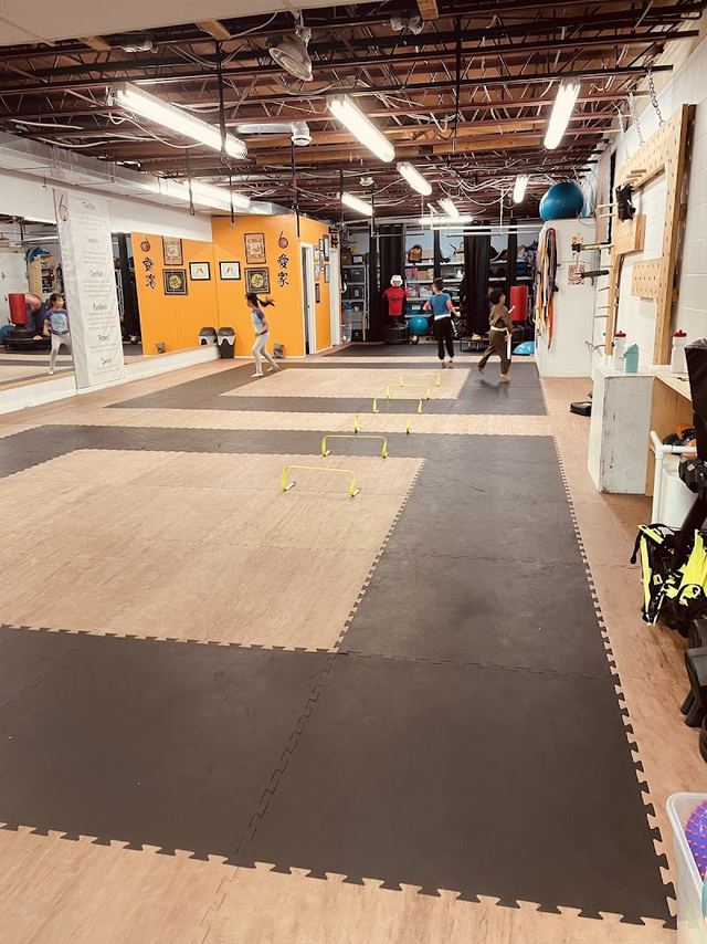 6Tigers Academy