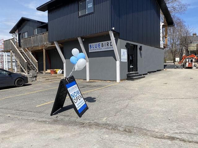 Bluebird Cannabis Store