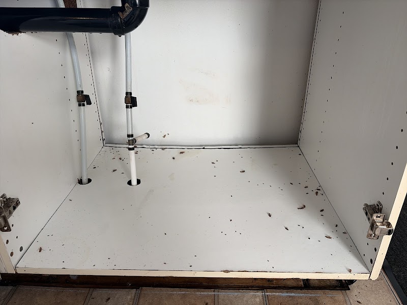 Provincial Pest Control Manotick